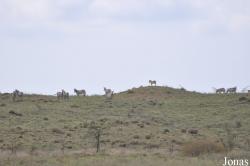 Enduimet Wildlife Management Area