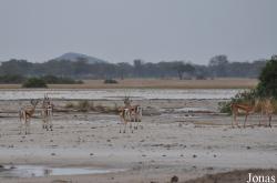 Enduimet Wildlife Management Area