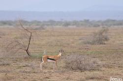 Enduimet Wildlife Management Area