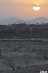 Awash National Park