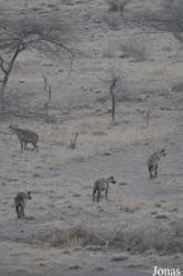 Awash National Park