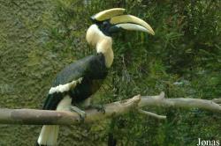Senda El Retiro
