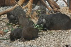 Zoo Praha
