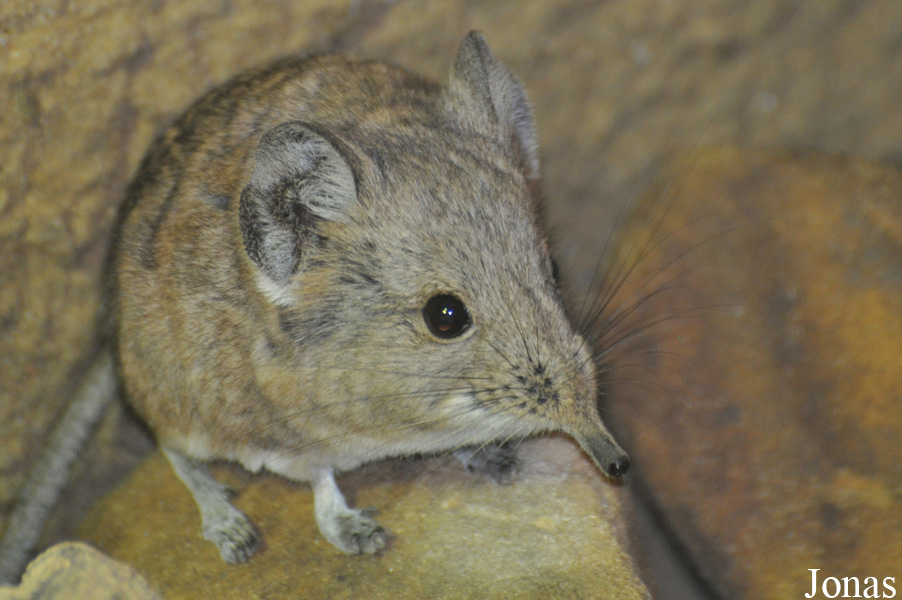 Zoo Praha