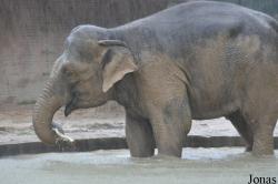 Zoo Praha