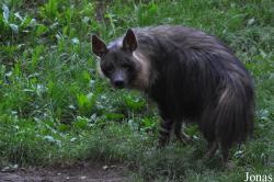 Zoo Praha