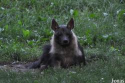Zoo Praha