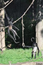 Zoo Praha