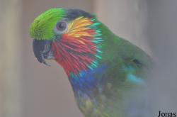 Zoo Praha