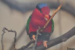 Zoo Praha
