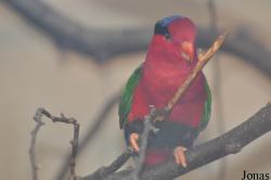 Zoo Praha