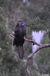 Zoo Praha