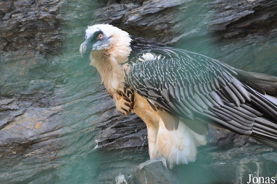 Zoo Praha