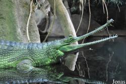 Zoo Praha