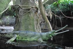 Zoo Praha
