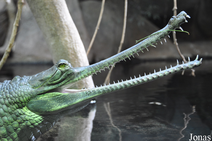Zoo Praha