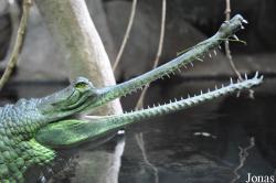 Zoo Praha