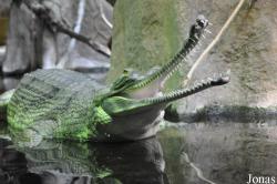 Zoo Praha