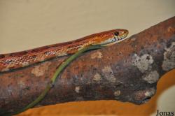Zoo La Garenne