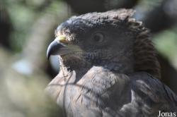Zoo La Garenne