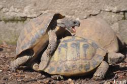 Zoo La Garenne