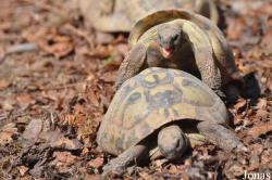 Zoo La Garenne