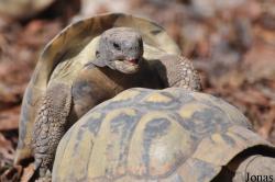 Zoo La Garenne