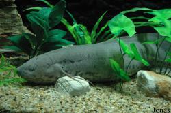Shanghai Ocean Aquarium