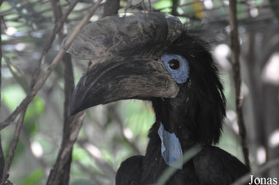 Parc Zoologique de Fréjus