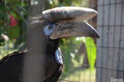 Parc Zoologique de Fréjus