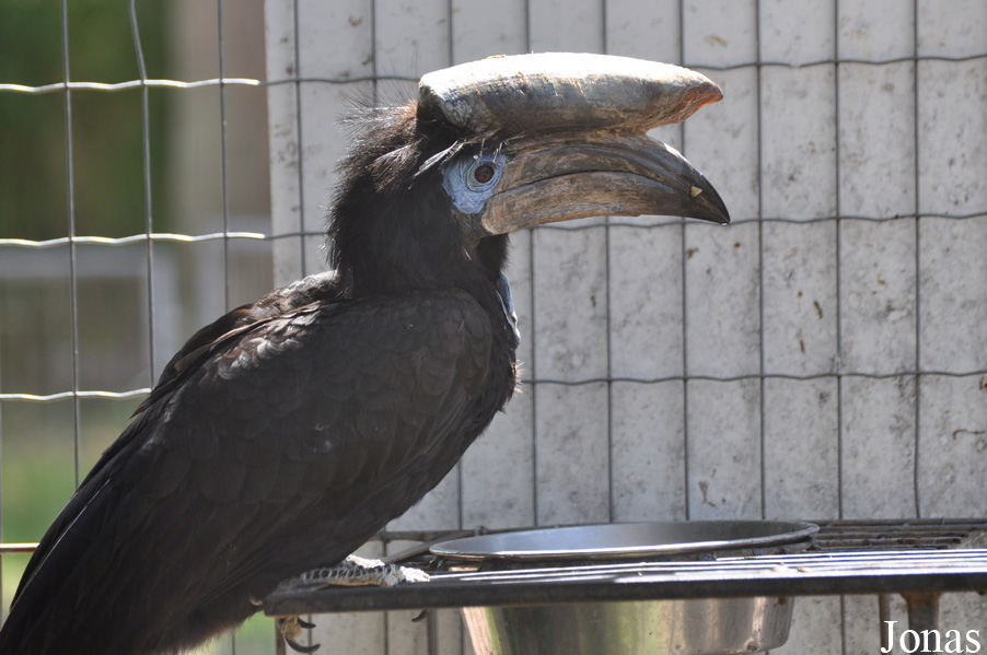 Parc Zoologique de Fréjus
