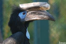 Jardin d'Oiseaux Tropicaux