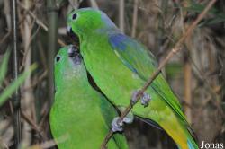Weltvogelpark Walsrode