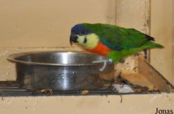 Weltvogelpark Walsrode