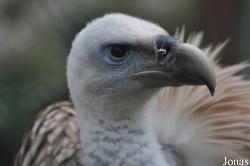 Vogelpark Niendorf
