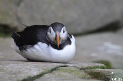 Tierpark Hagenbeck