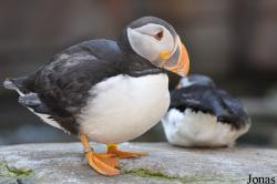 Tierpark Hagenbeck