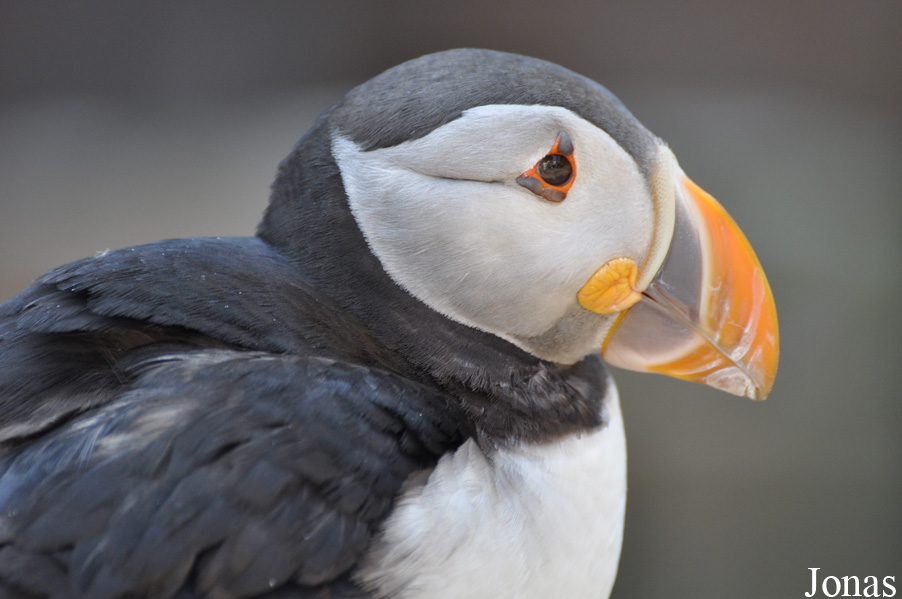 Tierpark Hagenbeck