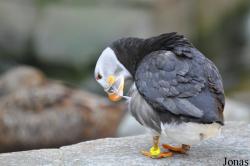 Tierpark Hagenbeck