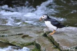 Tierpark Hagenbeck