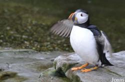 Tierpark Hagenbeck