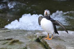 Tierpark Hagenbeck