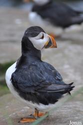 Tierpark Hagenbeck