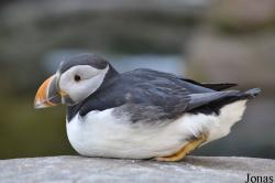 Tierpark Hagenbeck