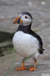 Tierpark Hagenbeck