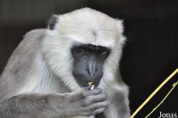 Serengeti Park Hodenhagen
