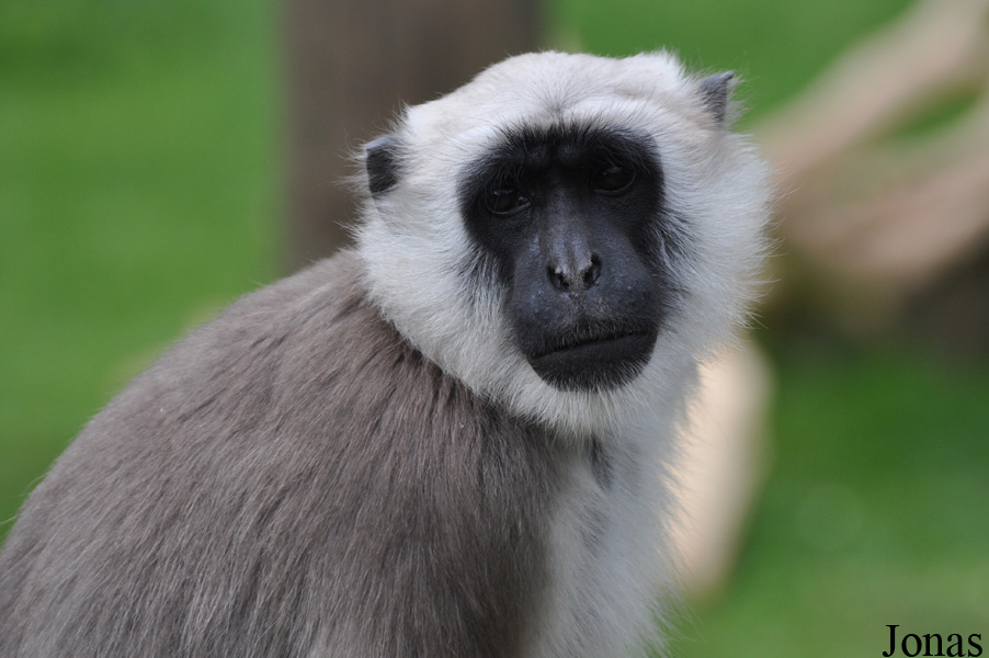 Serengeti Park Hodenhagen