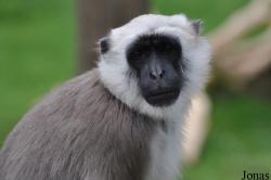Serengeti Park Hodenhagen