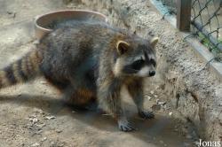 Zoo de Castellar