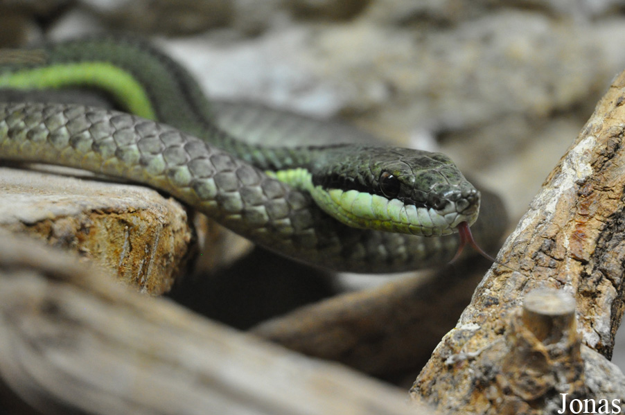 Reptilienzoo Regensburg